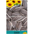 2019 Sunflower seed market price inner mongolia seeds